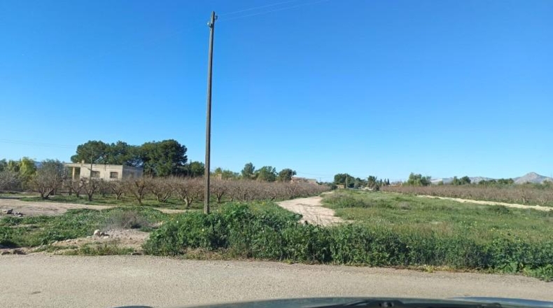 Alicante - Crevillent - 10000m2