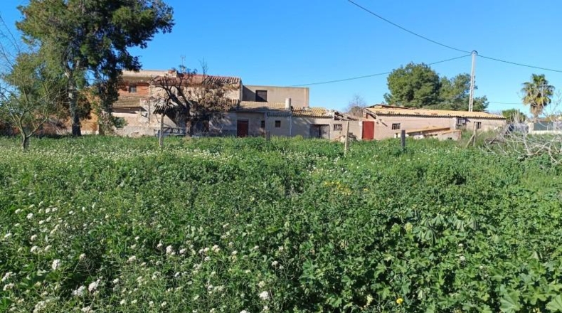 Alicante - Crevillent - 10000m2