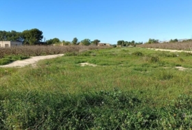 Crevillent 10000&nbsp;m² 