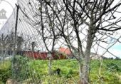 Casa de camp amb terreny en venda a la España, Icod de los Vinos, ref.: TR384395 foto