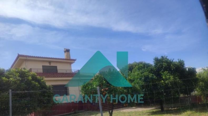 Cáceres - Villa del Campo - 700m2