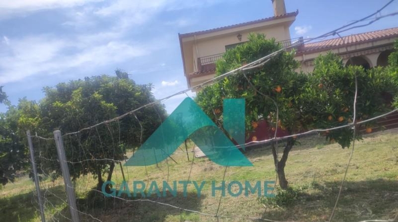 Cáceres - Villa del Campo - 700m2