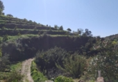 Casa de camp amb terreny en venda a la España, Frigiliana, ref.: TR384045 foto