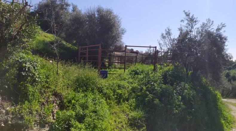 Málaga - Frigiliana - 9000m2