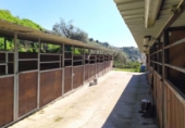 Casa de camp amb terreny en venda a la España, Frigiliana, ref.: TR384045 foto
