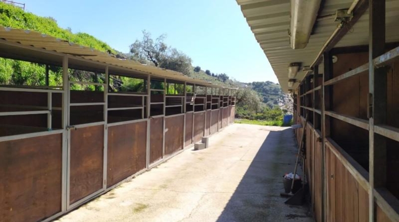 Málaga - Frigiliana - 9000m2
