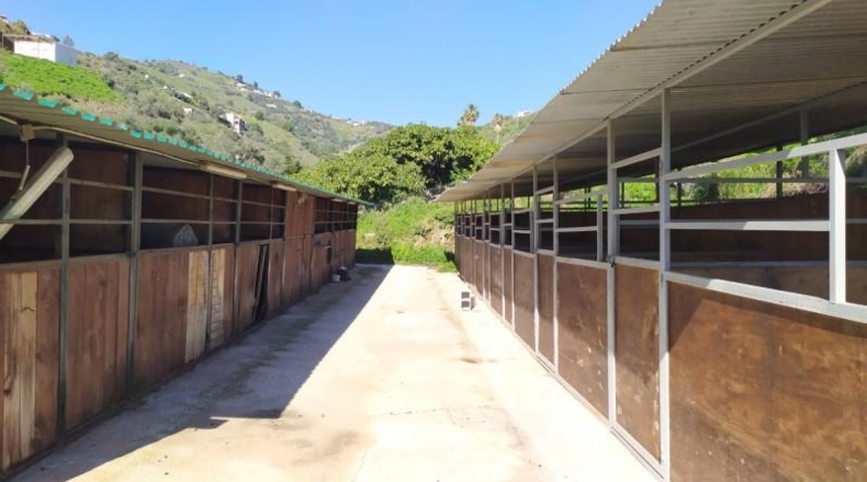 Málaga - Frigiliana - 9000m2