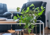 Дом с участком на продажу в городе Lliçà d'Amunt Фото