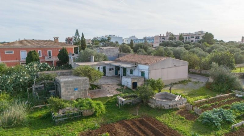 Balearic Islands - Manacor - 14219m2