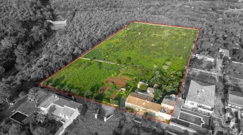 Balearic Islands - Manacor - 14219m2
