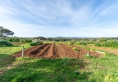 Detached villa with land for sale on España, Porto Cristo, ref: TR384405 photo