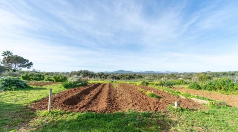 Balearic Islands - Manacor - 14219m2