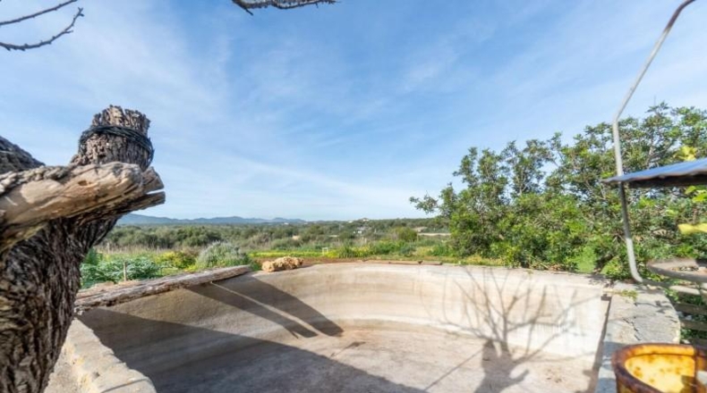 Balearic Islands - Manacor - 14219m2