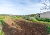 Detached villa with land for sale on España, Porto Cristo, ref: TR384405 photo