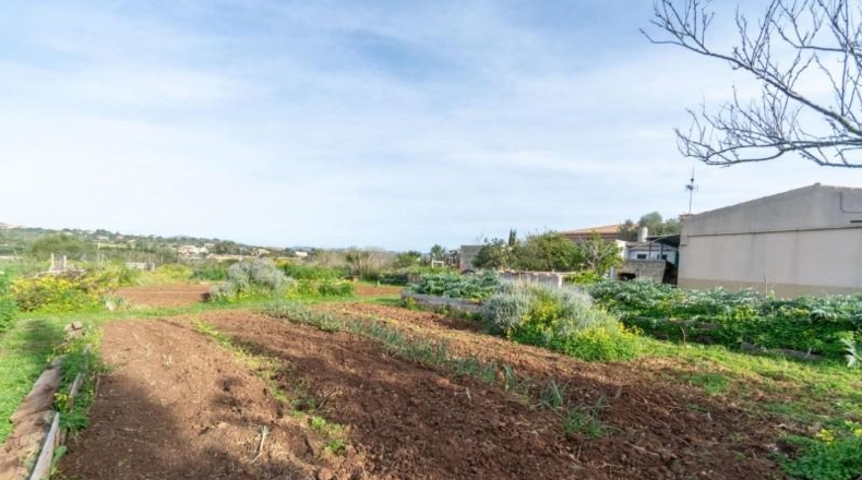 Balearic Islands - Manacor - 14219m2