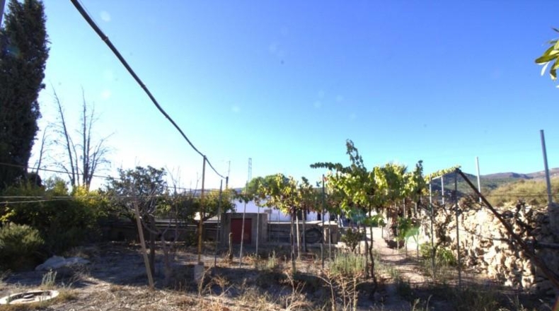 Almería - Alhama de Almería - 1000m2