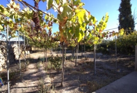 Alhama de Almería 1000&nbsp;m² 
