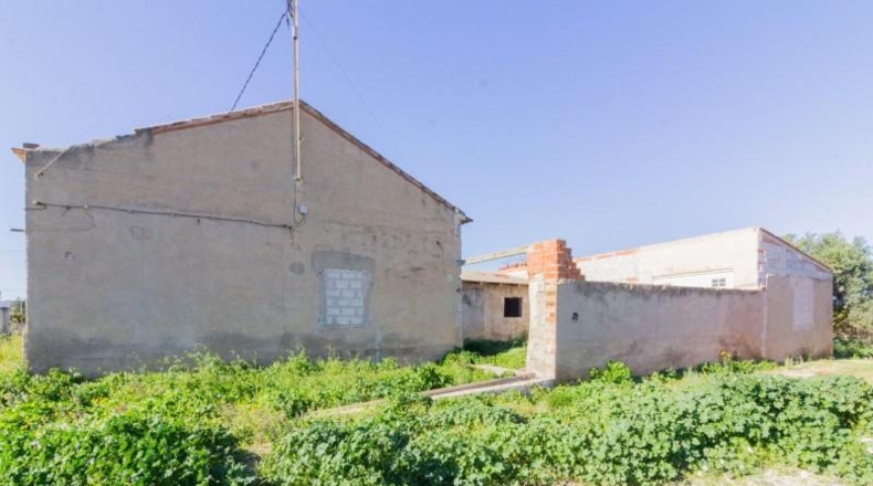 Murcia - Murcia - 2000m2