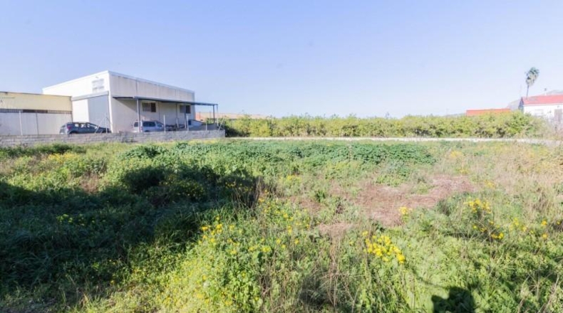 Murcia - Murcia - 2000m2