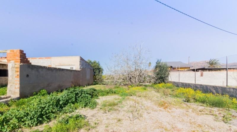 Murcia - Murcia - 2000m2