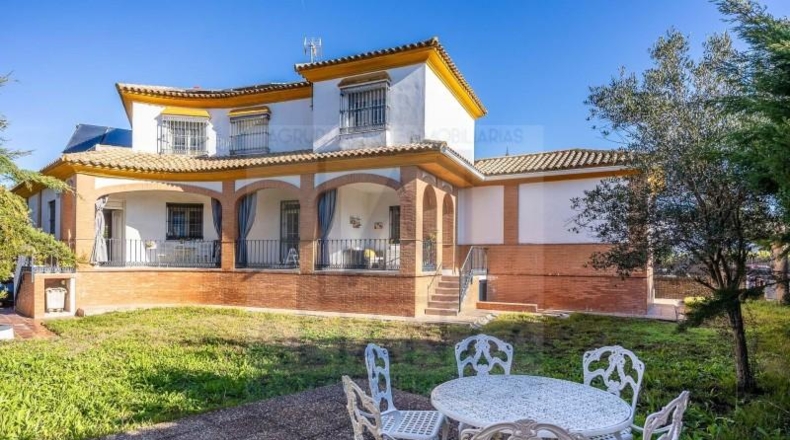 Sevilla - Valencina de la Concepción - 616m2