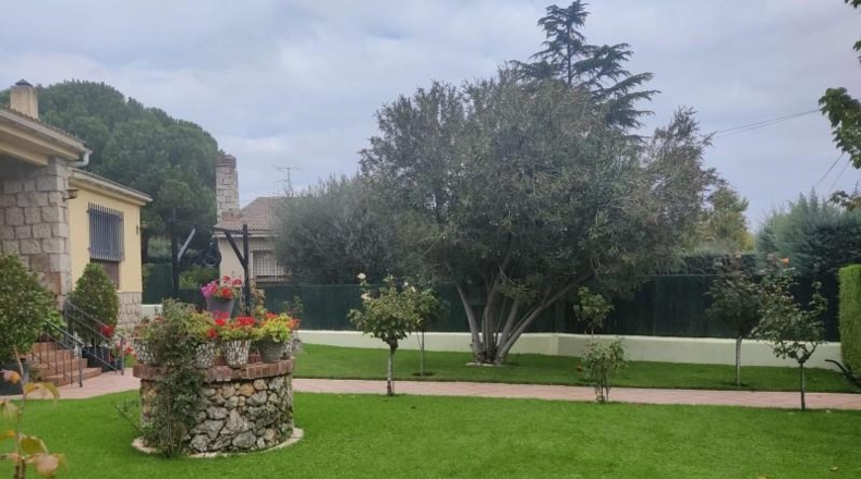 Community of Madrid - El Molar - 1100m2