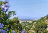 Casa de camp amb terreny en venda a la España, Motril, ref.: TR384288 foto