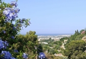 Casa de camp amb terreny en venda a la España, Motril, ref.: TR384288 foto