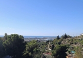 Casa de camp amb terreny en venda a la España, Motril, ref.: TR384288 foto