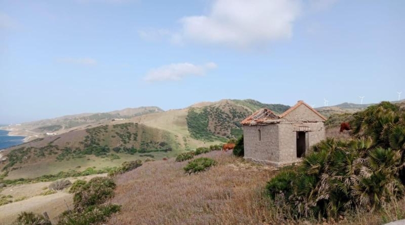 Cádiz - Tarifa - 117000m2