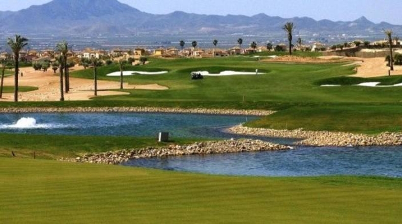 Murcia - Fuente Álamo de Murcia - 14000m2