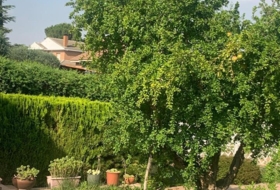 Вильяльбилья 431&nbsp;м²