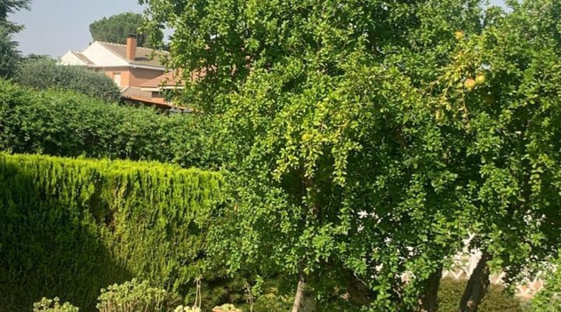 Comunidad de Madrid - Villalbilla - 431m2