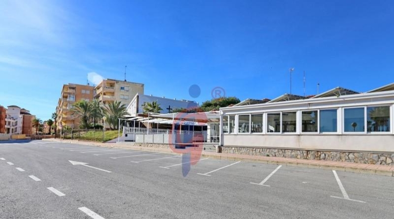 Alicante - Guardamar del Segura - 1361m2