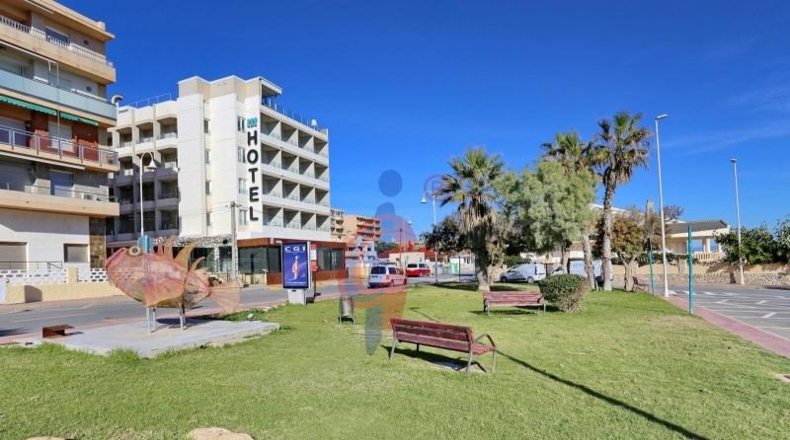 Alicante - Guardamar del Segura - 1361m2