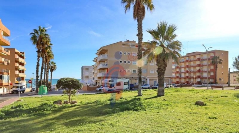 Alicante - Guardamar del Segura - 1361m2