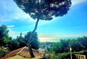 Castelldefels 870&nbsp;м²