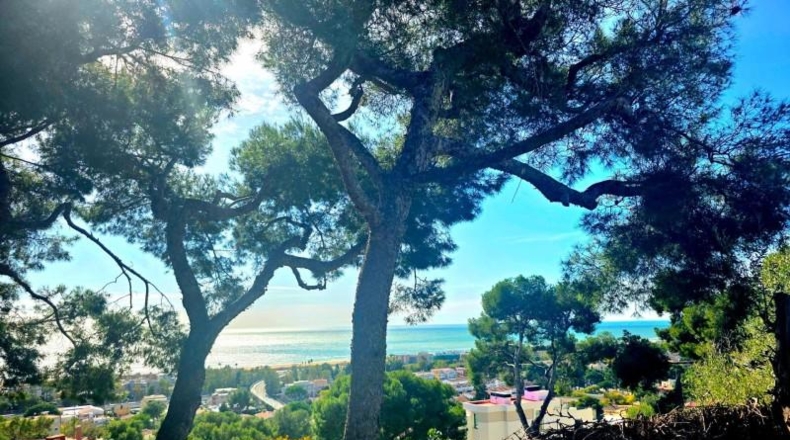 Барселона - Castelldefels - 870m2