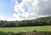 Non-developable land for sale on España, Cànoves, ref: TR384668 photo