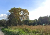 Non-developable land for sale on España, Cànoves, ref: TR384668 photo