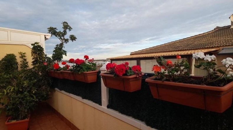 Alicante - Oriola - 8407m2