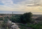 Chalet independiente con terreno en venta en la España, Orihuela, ref: TR400050 foto