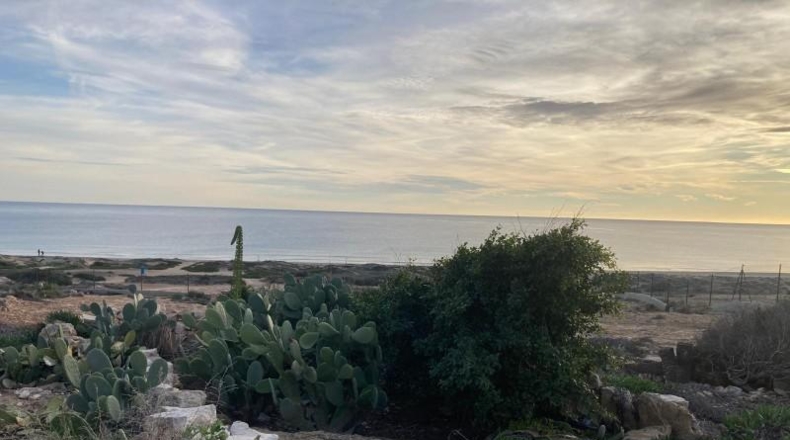 Alicante - Oriola - 8407m2