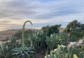 Chalet independiente con terreno en venta en la España, Orihuela, ref: TR400050 foto