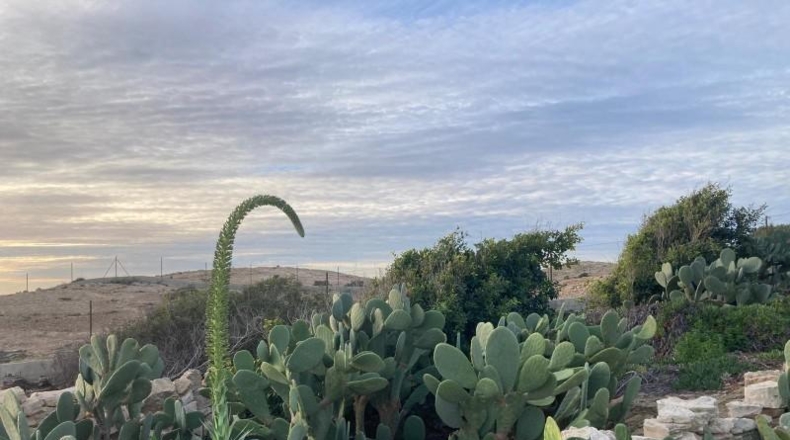 Alicante - Oriola - 8407m2