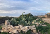 Chalet independiente con terreno en venta en la España, Orihuela, ref: TR400050 foto