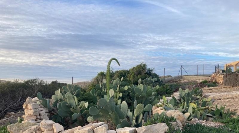 Alicante - Oriola - 8407m2