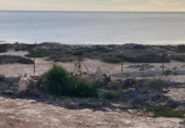 Chalet independiente con terreno en venta en la España, Orihuela, ref: TR400050 foto