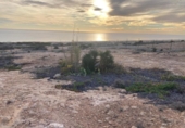 Chalet independiente con terreno en venta en la España, Orihuela, ref: TR400050 foto