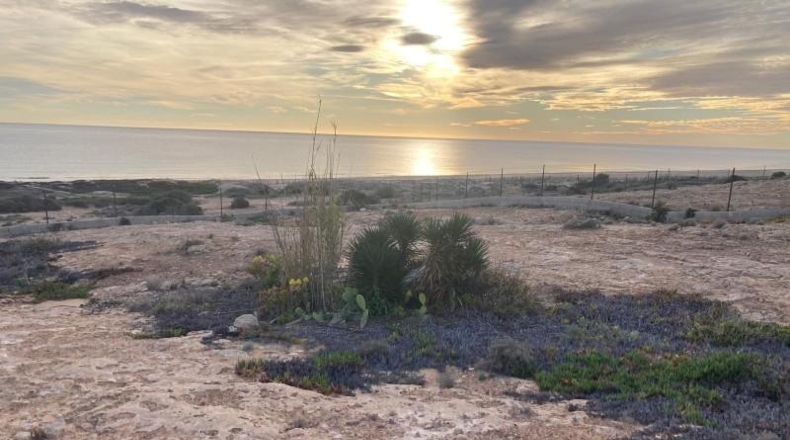 Alicante - Oriola - 8407m2